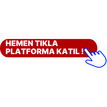 PLATFORMA KATIL.png